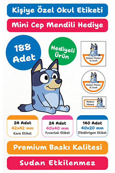 repro design 188 Adet Bluey Kişiye Özel Okul Etiketi Kalem Defter Kitap İsiml...