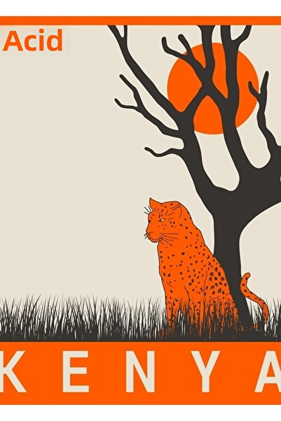 Universal Poster decorativ din lemn cu tematică Kenya