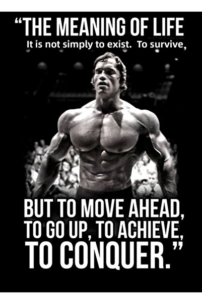 Universal Αρνολντ Σβαρτσενέγκερ Αρνί Κόνκουερ Εισαγωγικός Πίνακας Ξύλινη Αφίσ...