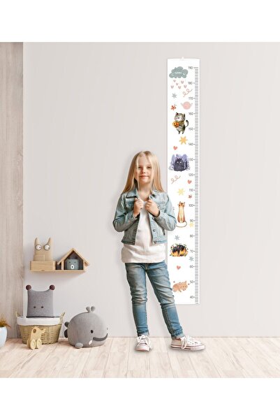 fotoev مسطرة قياس الارتفاع