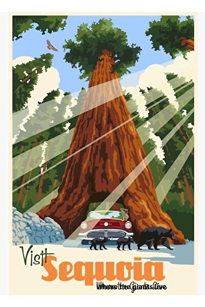 Universal Εθνικό Πάρκο Σεκόια Ρετρό Αυτοκόλλητο Ταξιδιωτικών Ετικετών Ξύλινη ...