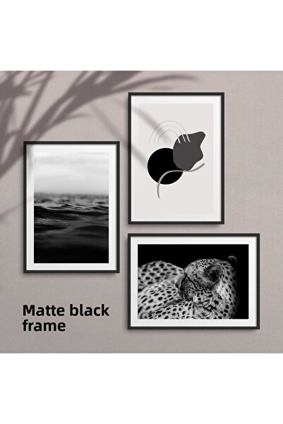 HOMEPACK Set de pictură cu mare albă neagră și leopard, 3 bucăți cu cadru lam...