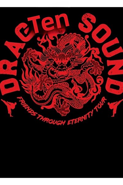 Universal Dragon Sound Friends on Infinity Tour (Red) Painting Wooden Poster ...