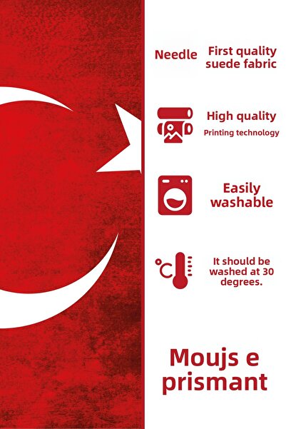 Moud's Double Sided Printed Turkish Crescent and Star Patterned Single Throw Pillow Case