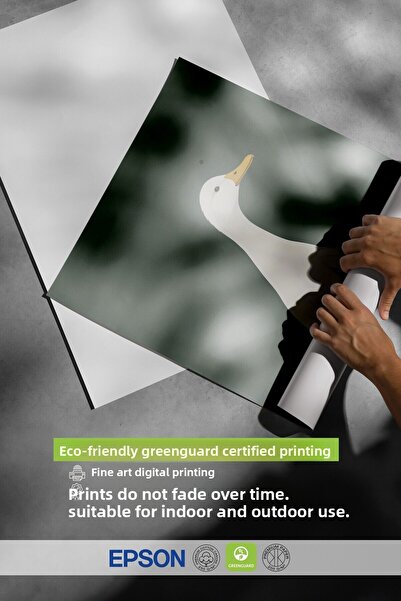 Postifull White Framed Painting, Silly Goose, Comfort Series Kitchen Wall Painting, No:108947