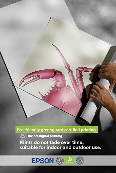 Postifull Black Framed Poster, Pink Crab, Illustration, Pink Color Poster, 2025 Summer Selection, No:109598