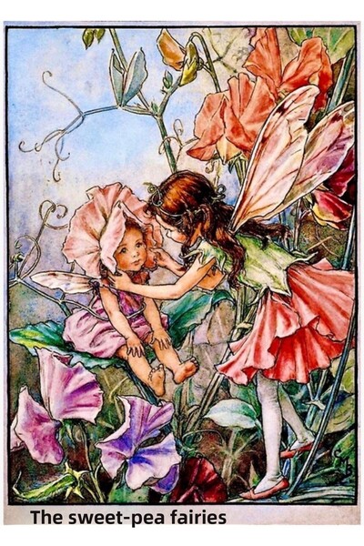 Universal Διακοσμητική ξύλινη αφίσα ζωγραφικής "Sweet Pea Fairies" της Cicely...
