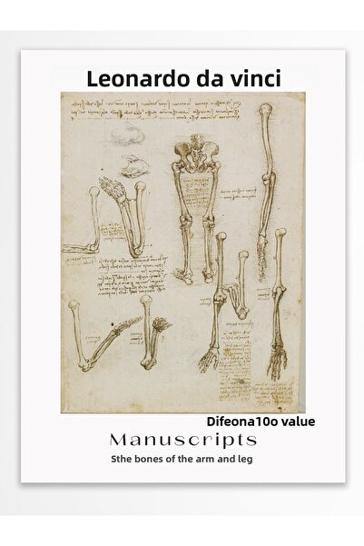 Postifull Αφίσα τοίχου Leonardo Da Vinci - Σειρά Art - Χοντρό χαρτί - Χωρίς π...