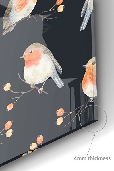 Olinpa Premium Kitchen Glass Stove Back Protector Countertop Built-In Back Protector |   Birds Black Orange