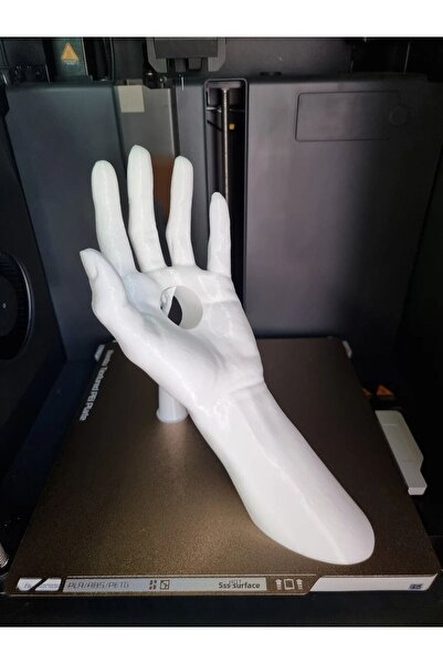 genomera Hand Figured Bottle Holder Flat Model