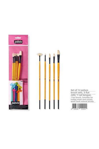 Pebeo Set-12 5-Piece Oil Painting Brush Set