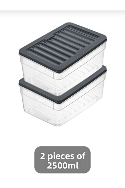 VİZYON Refrigerator Organizer with Horizontal Lid Ice Cooler Container Storage Container