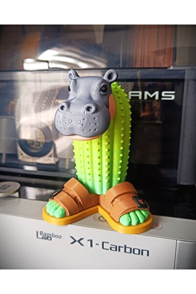 Giftbox3d Il Cacto Hippopotamus Figure 15cm Tung Tung Sahur
