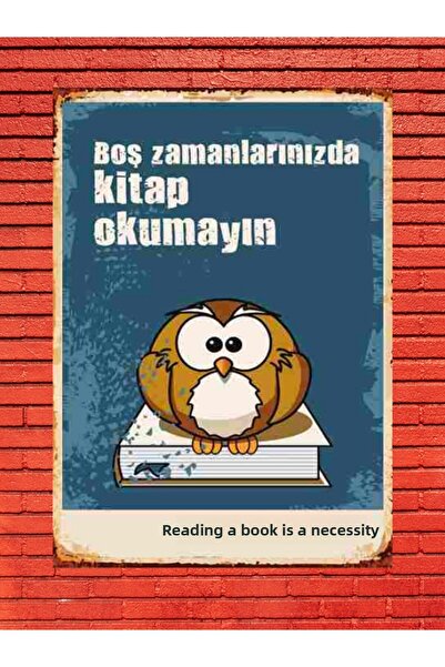 Shuttle Park Προσαρμοσμένη ζωγραφική Ψηφιακή εκτύπωση 22x30 Δεν διαβάζετε βιβ...