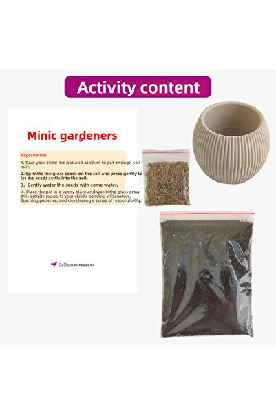 Dodo Montessori مجموعة زراعة العشب في وعاء الزراعة |   نشاط لتطوير المسؤولية ...