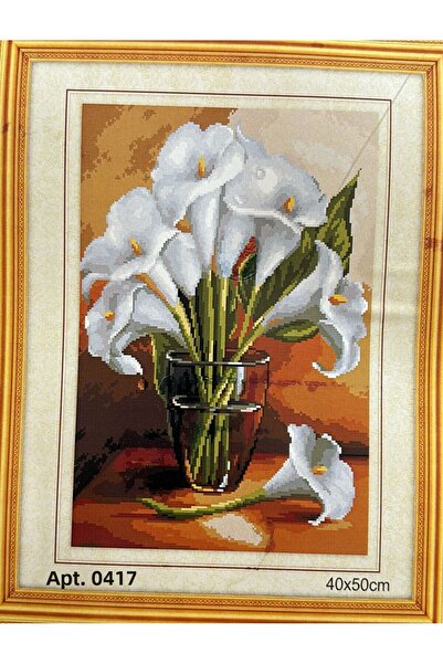 iğne izi Tapestry Etamine Embroidery Set 40X50 cm 417