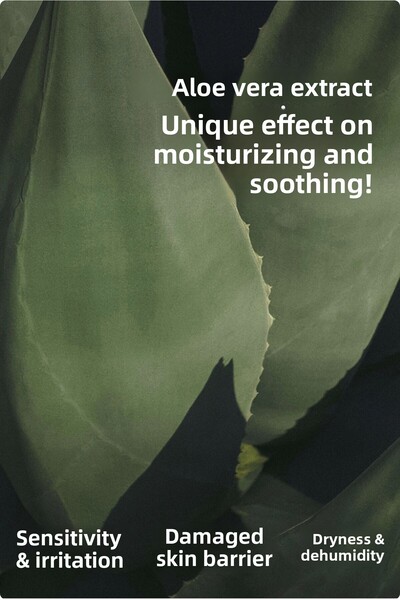 Ariul 7 Days Mask Aloe H - Moisturizing & Soothing Aloe Vera Vegan Paper Mask