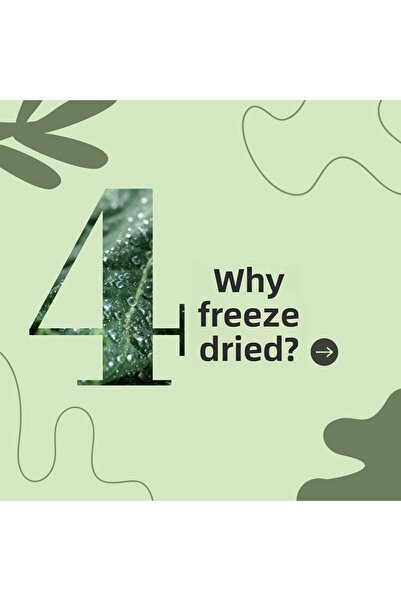 By Tüfekçi Freeze Dry Sliced ​​Blueberry Dried Natural Fruit That Does Not Lose Its Form and Taste 50 Gr