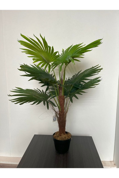 GREEN TOWN نخيل واشنطونيا الصناعي-90cm/9L