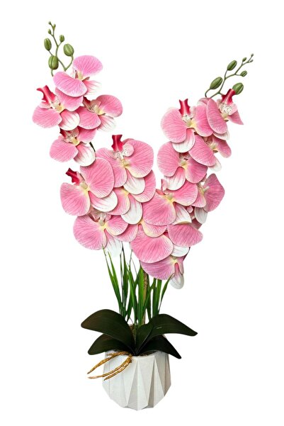 YAPAY ÇİÇEKÇİNİZ Υψηλής ποιότητας τεχνητή ορχιδέα με 2 κλαδιά με υγρή υφή σε λευκή γλάστρα από σκυρόδεμα