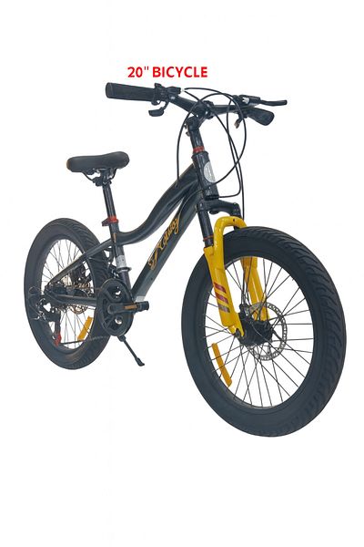 rexa 20 inches 21-speed sports bicycle with disc brakes and front suspension