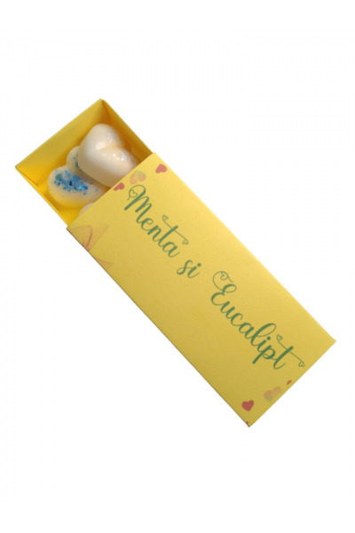 OEM Ceara soia parfumata, handmade, wax melt, Menta si Eucalipt, 30g