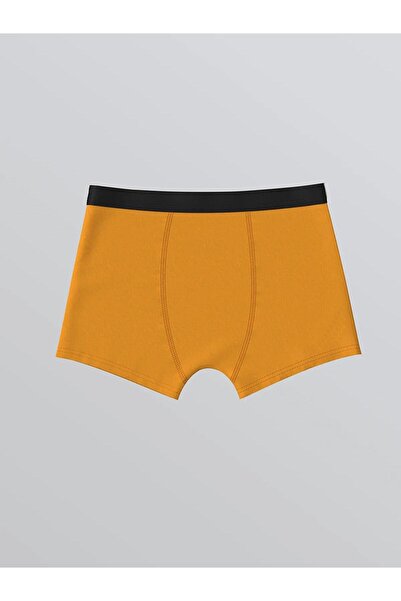 LC Waikiki LCW Baskılı Erkek Çocuk Boxer 3'lü (W5)