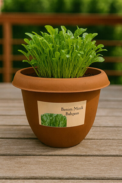 NIDAGE Benim Minik Bahçem – Tere Yetiştirme Seti | Balkon & Ev İçi Mini Bahçe