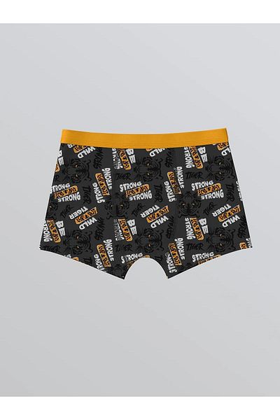 LC Waikiki Lcw Printed Boy Boxer 3-Piece (W5)