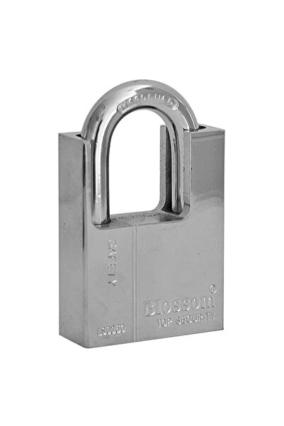 SGTT Ultrasafe Blossom 60 mm professional padlock with 4 keys