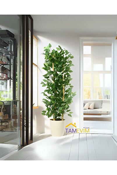 TamEvim Benjamin Ağacı 125 Cm