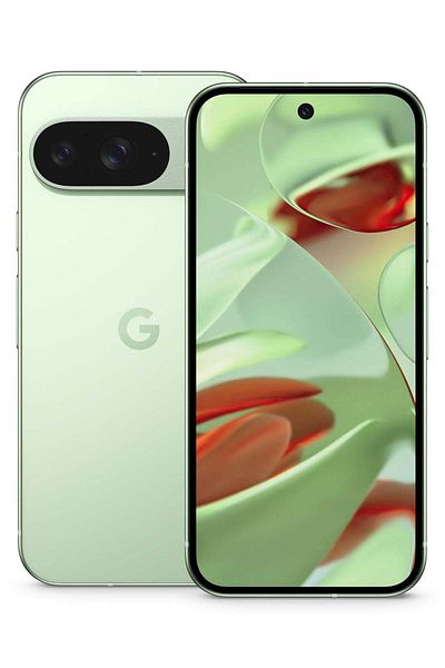 Google Pixel 9 Dual SIM Wintergreen 12GB RAM 256GB 5G - International Version