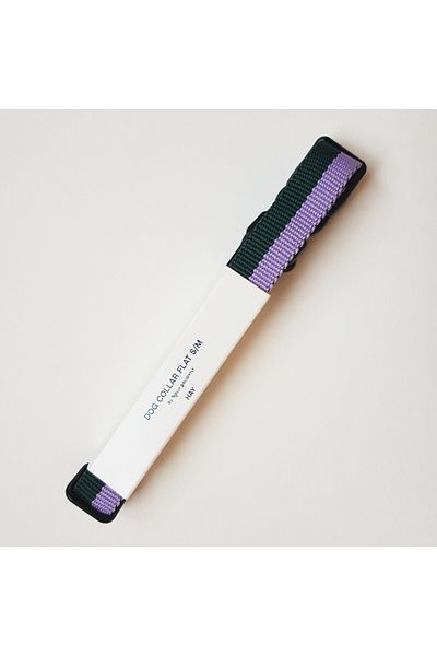 HAY S/M pet collar green - lavender,