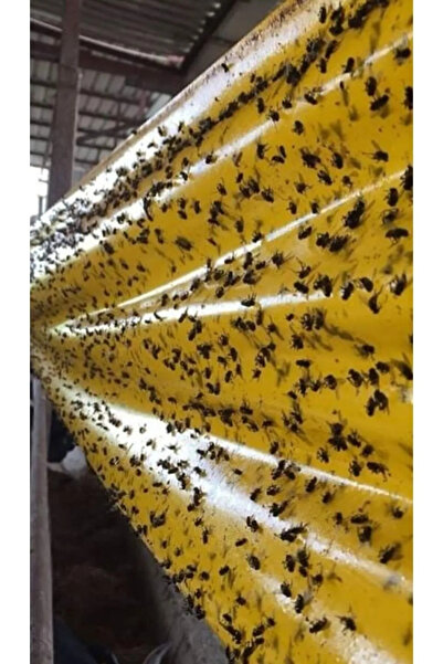 Flora Çift Taraflı Ahırlar Ve Çiftlikler İçin Sarı Yapışkan Rulo Sinek Tuzağı...