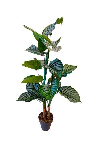 MAKİ DEKOR YAPAY ALOKASYA 3 GÖVDELİ MODERN,DEKORATİF 130 CM 18 YAPRAKLI İÇ MEKAN AĞACI