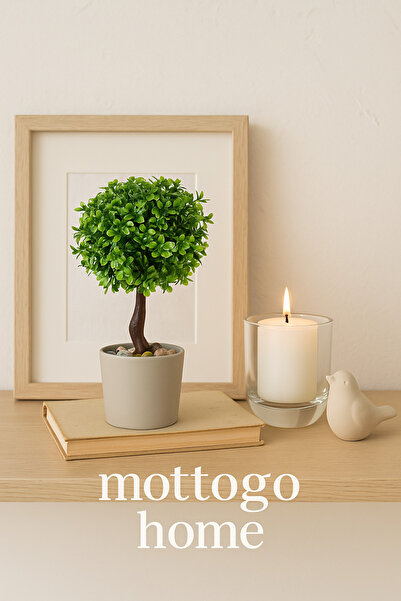 Mottogo Dekoratif Şimşir Yapay Bitki | Tek Adet