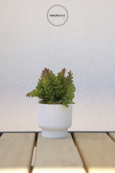 Dekorsende فرع صغير صناعي أخضر أحمر 16 سم