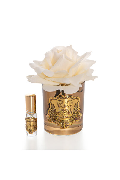 BUON ODORE Amber Cam Gold Krem Tek Gül Ev Parfumu | Kaliteli ve Uzun Süre Kal...