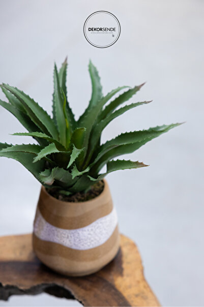 Dekorsende Cactus artificial ascuțit