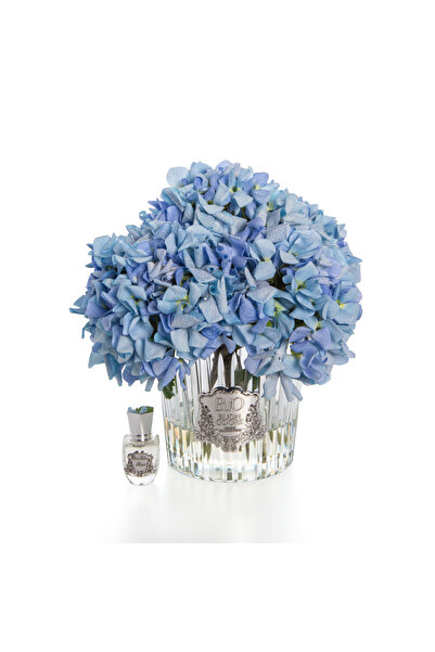 BUON ODORE MAVİ ORTANCA SILVER ODA KOKUSU