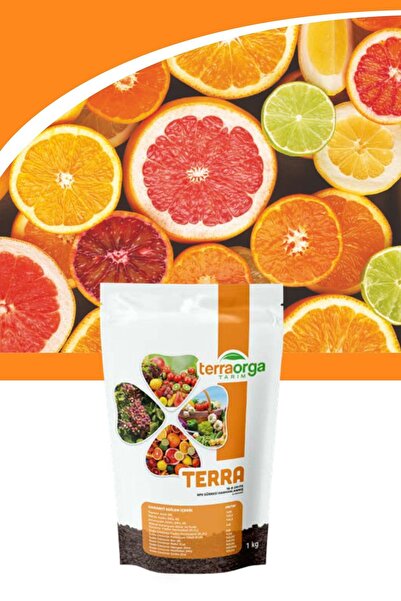 TerraOrga Terra 1 Kg 16-8-24+te Npk Gübresi Harmanlanmış Ec Fertilizer