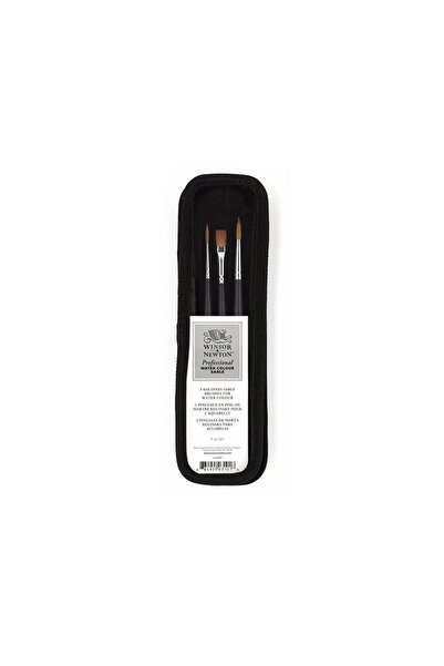 Winsor Newton Winsor & Newton Professional Sulu Boya Kısa Saplı Fırça Seti Ça...