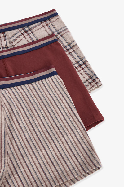 Penti Brown Men's Plaid Regular Waist Organic 3-Piece Boxer