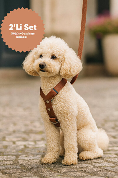 MOOD PAW Caramel Mood Anti-Pull Adjustable H Type Dog Chest and Travel Leash Set