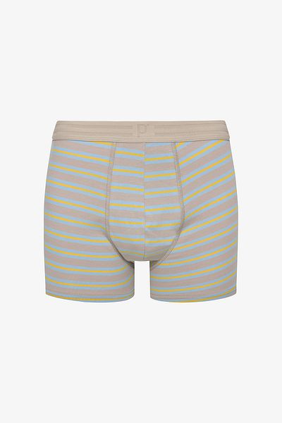 Penti Men's Cotton Blue Design Multicolor 3-Piece Boxer