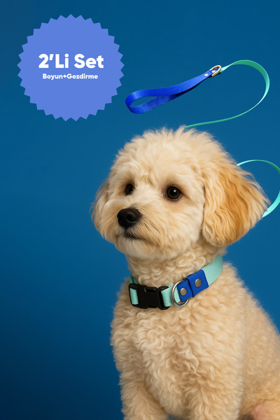 MOOD PAW Sky Mood Adjustable Dog Neck and Travel Collar Set