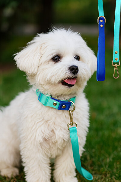 MOOD PAW Sky Mood Adjustable Dog Neck and Travel Collar Set