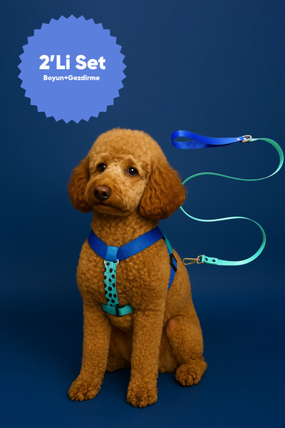 MOOD PAW Sky Mood Anti-Pull Adjustable H Type Dog Chest and Leash Set