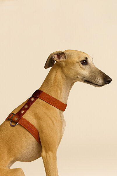 MOOD PAW Caramel Mood Anti-Pulling Adjustable H Type Dog Chest Harness