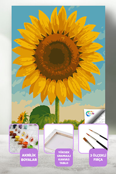 Tuvalle Güneşin Gülü Sayılarla Boyama Seti, Hobi Seti, 40X50 Tablo, Fırça Boy...